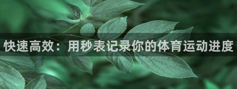 MK体育官网下载官方客服电话:快速高效:用秒表记录你的体育运